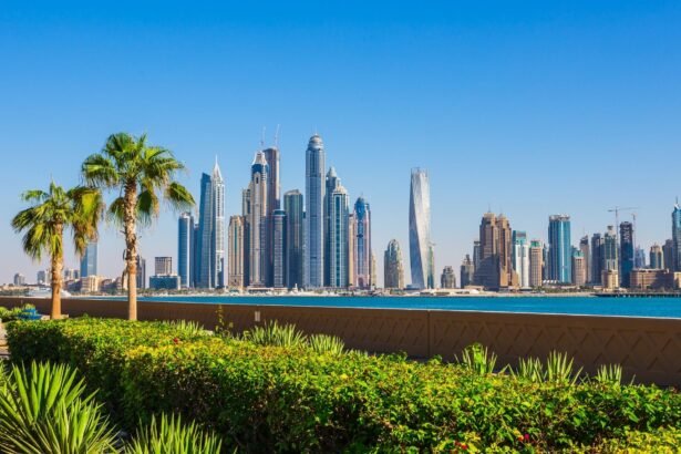 Formation Of Company In Dubai A Clear Guide To Legal Steps, Costs, And Licensing